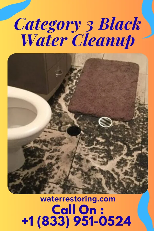 Category 3 Black Water Cleanup in Bangor, ME