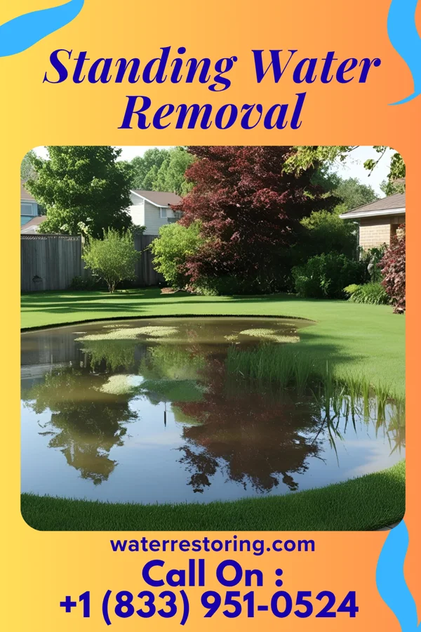 Standing Water Removal in Bangor, ME